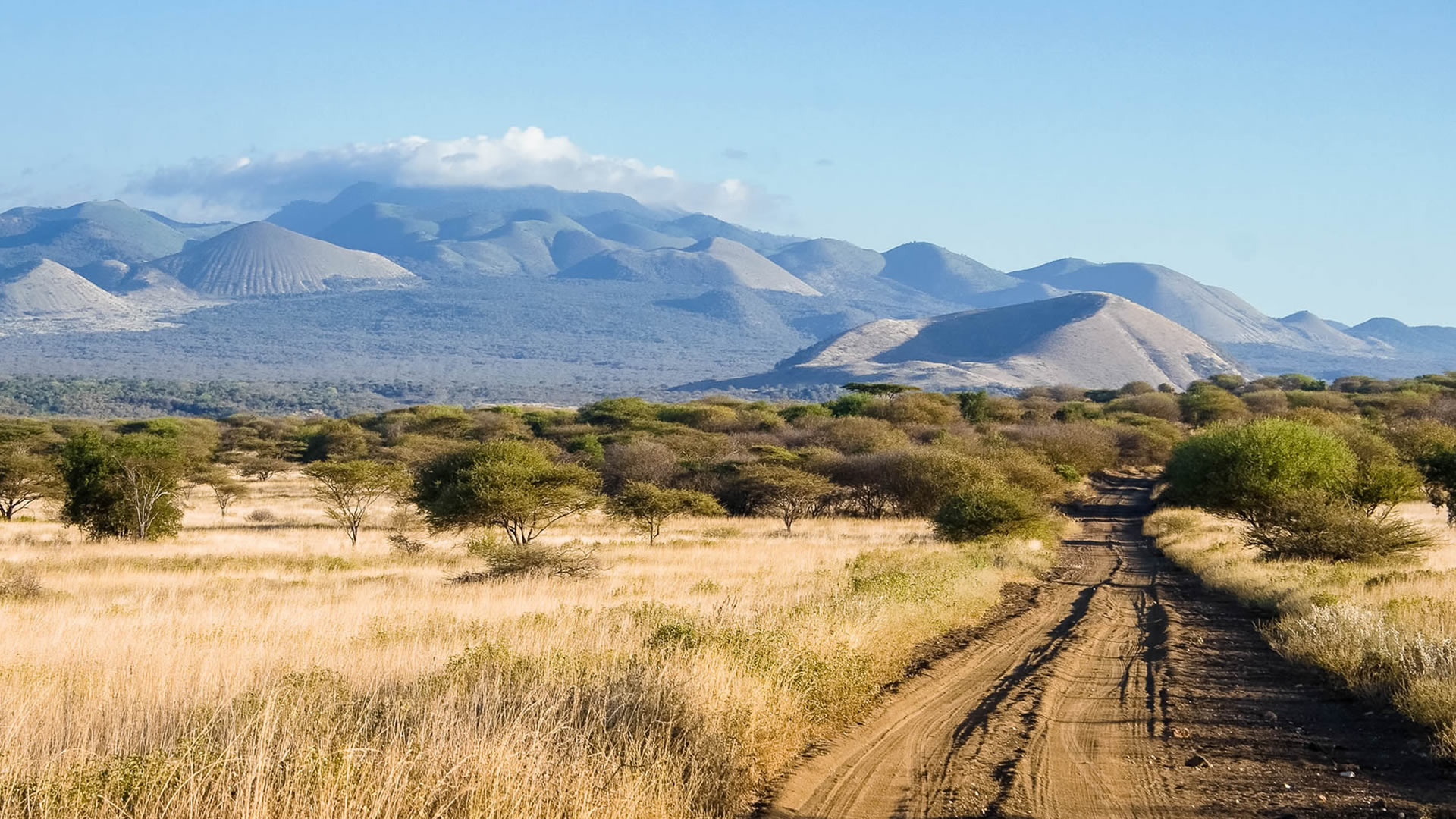 4 Days Amboseli and Tsavo West National Park Safari
